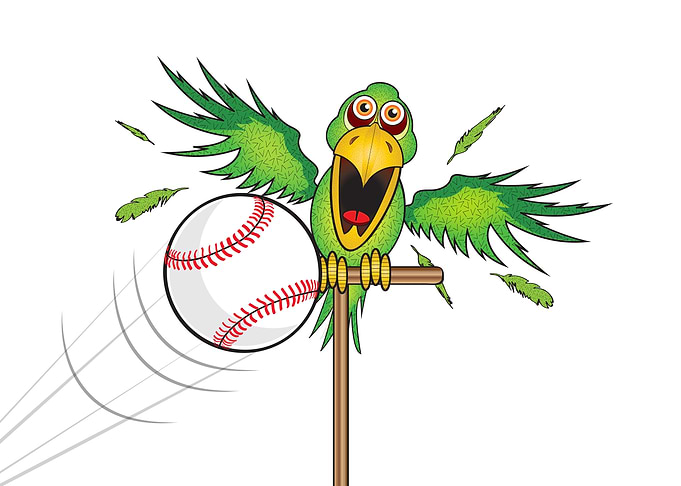 SURPRISED BIRD