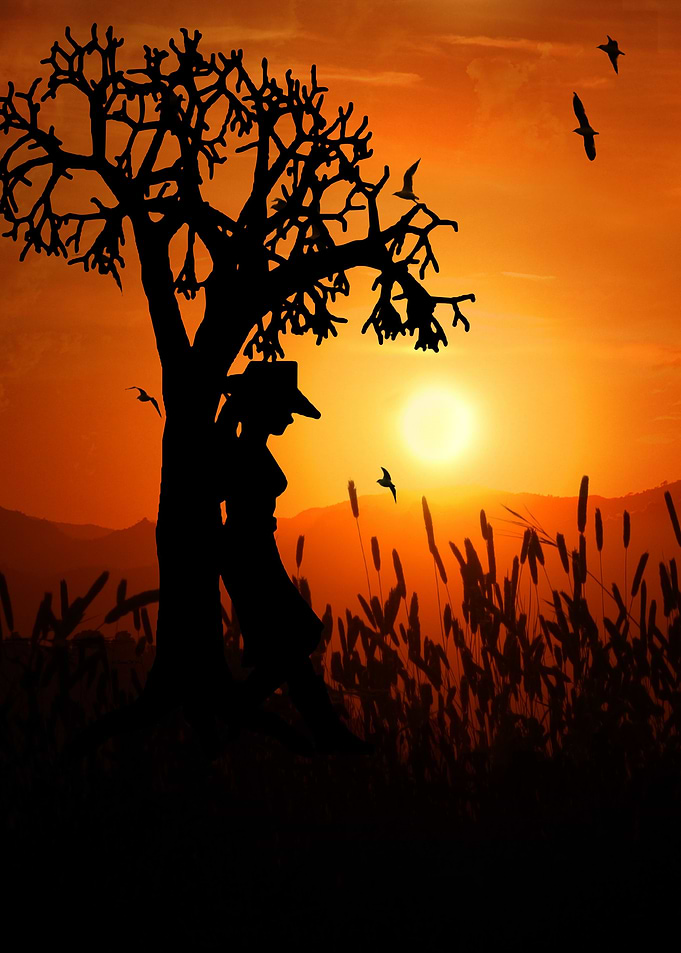 Sunset Cowgirl