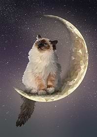 Moon Cat
