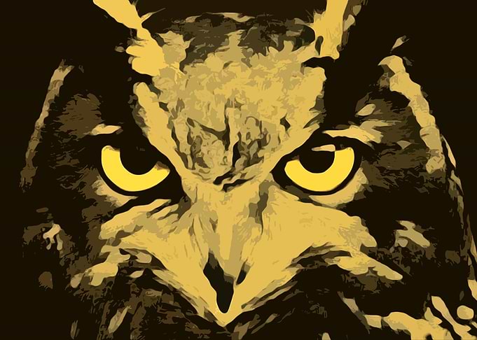 OWL050