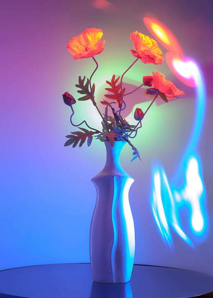 Flowers of Light