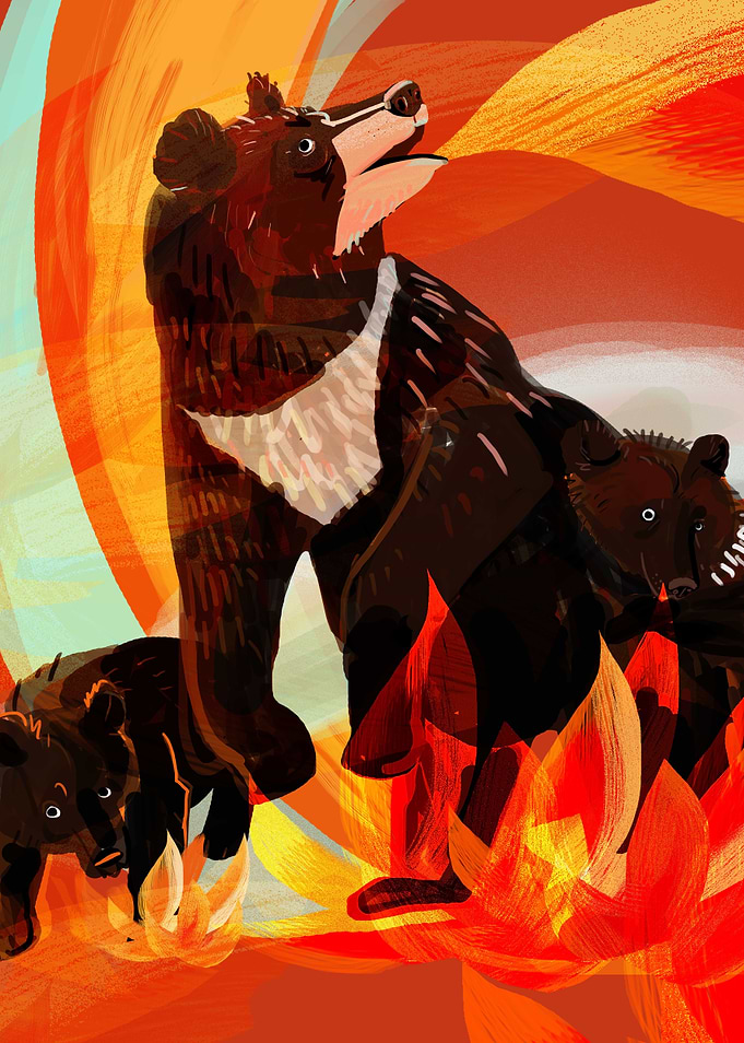 Taiga on fire