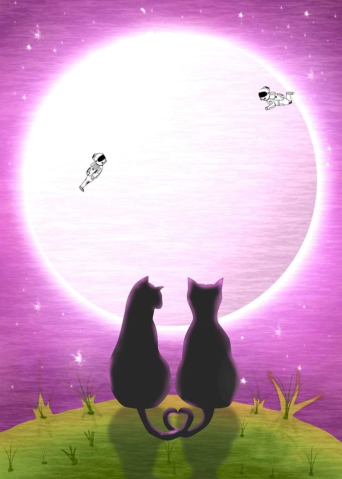 Romantic look cosmos