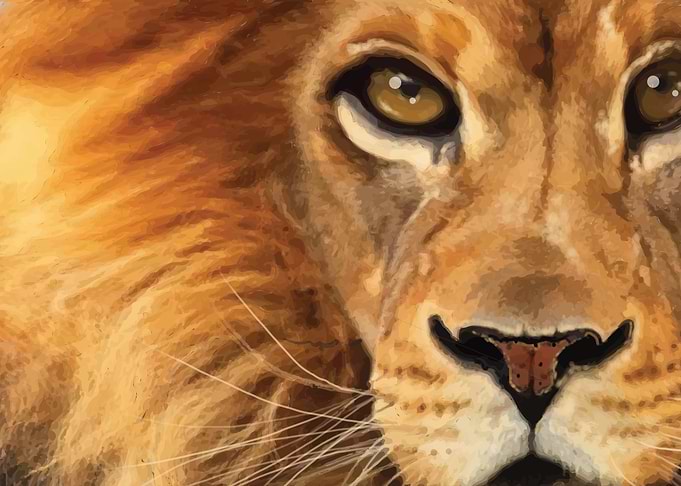 King Lion