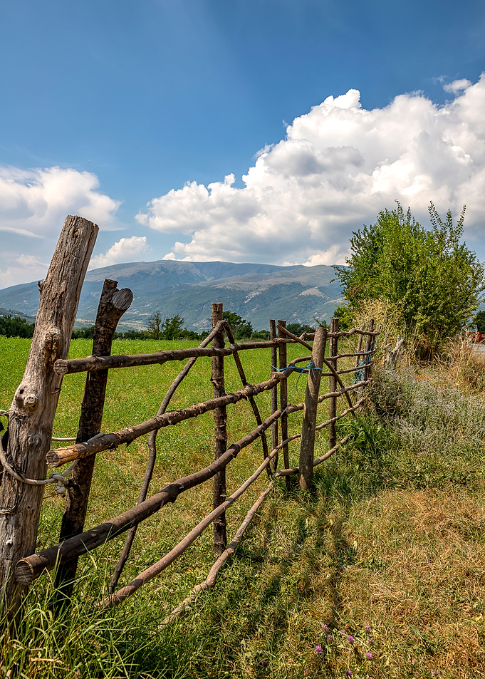 fence