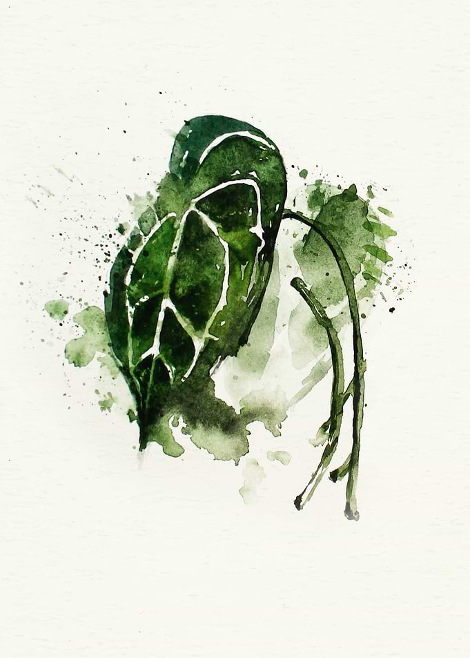 Botanical