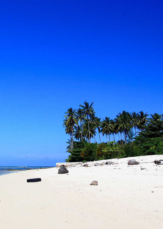 fresh beach
