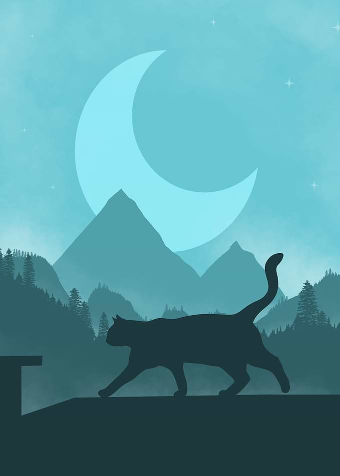 Cat walk