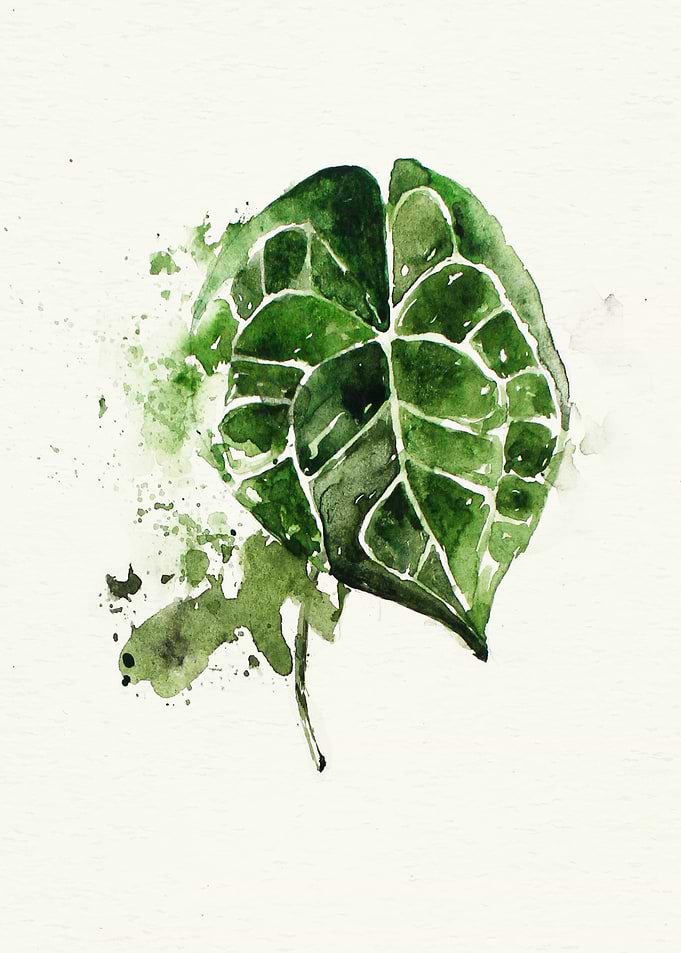 Botanical