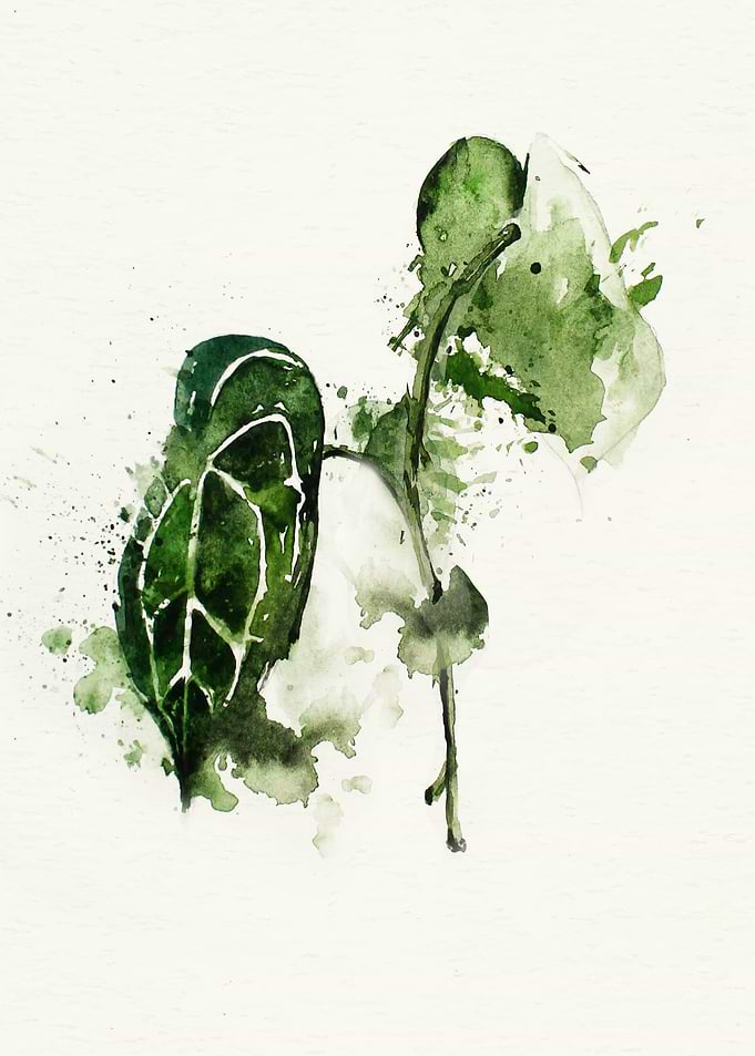 Botanical