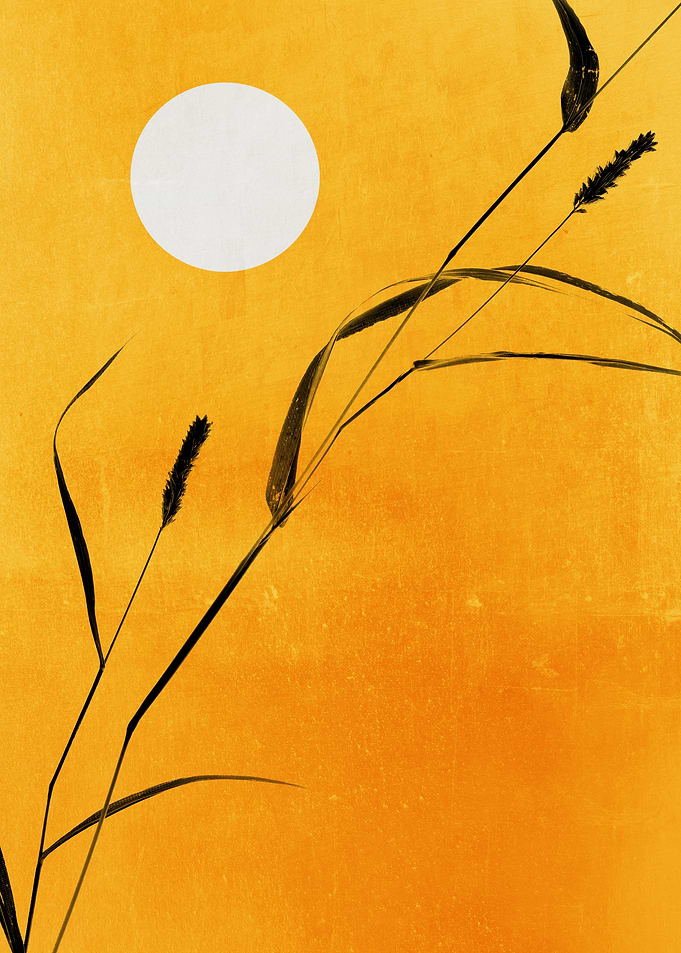 Sunny Side Up