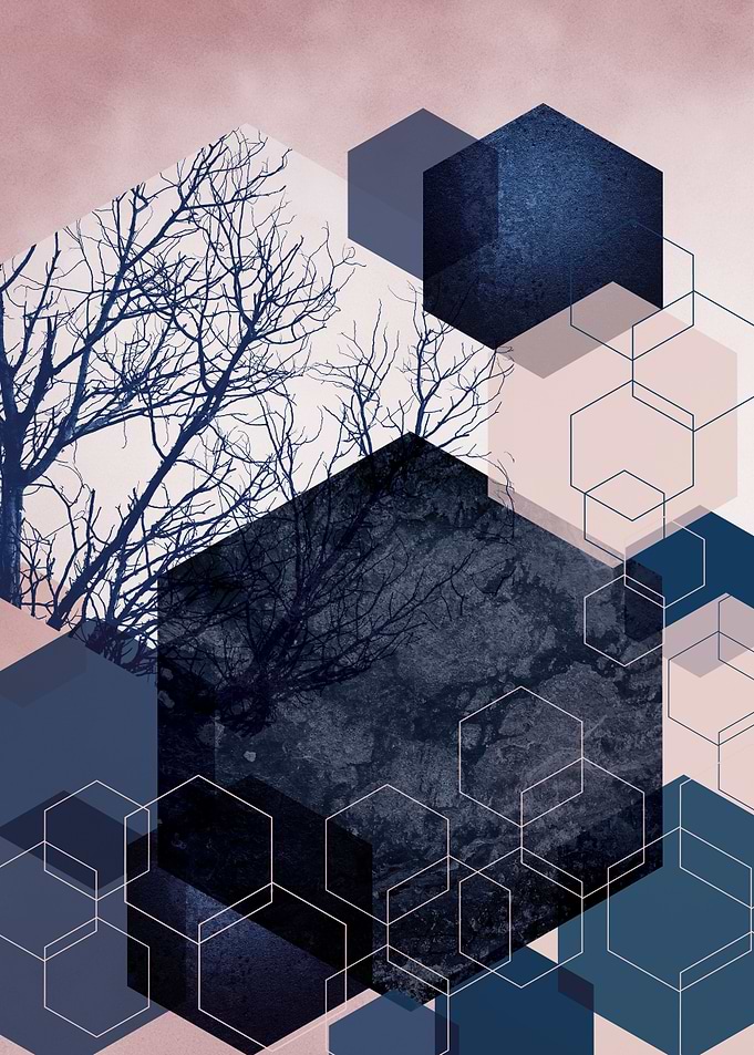 Hexagon Landscape No 1