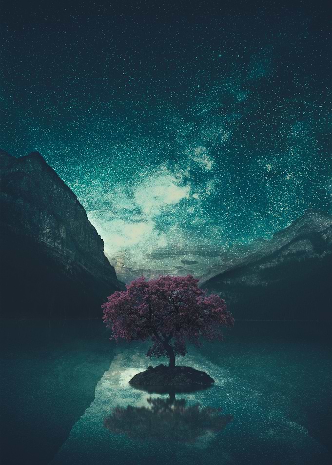 mountains and tree