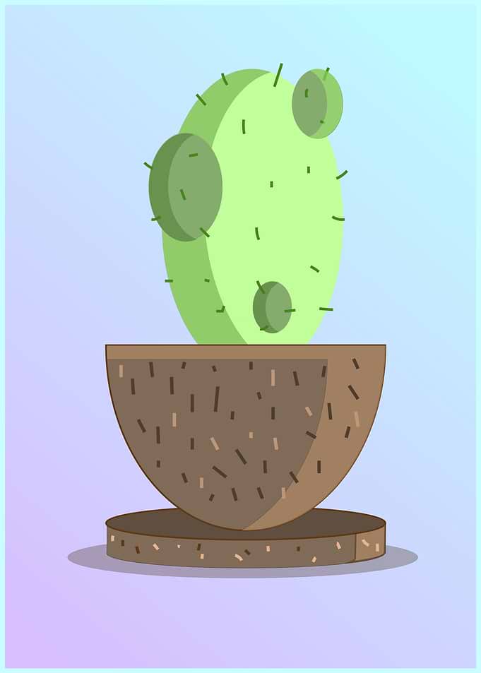 cactus print
