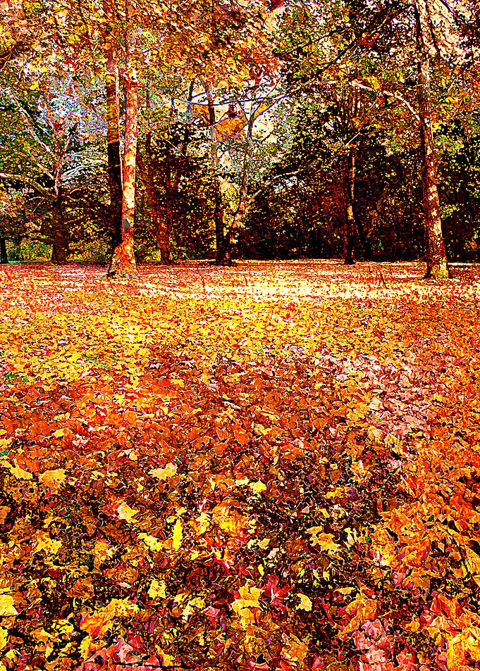 Autumn art 1