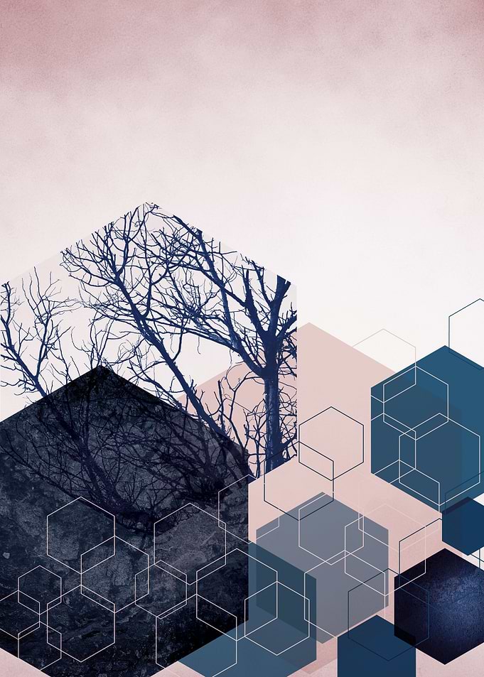 Hexagon Landscape