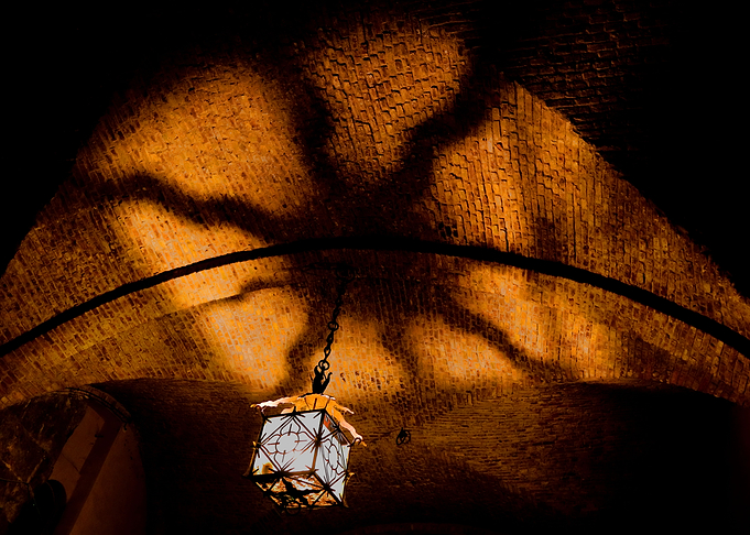Shadowy spider