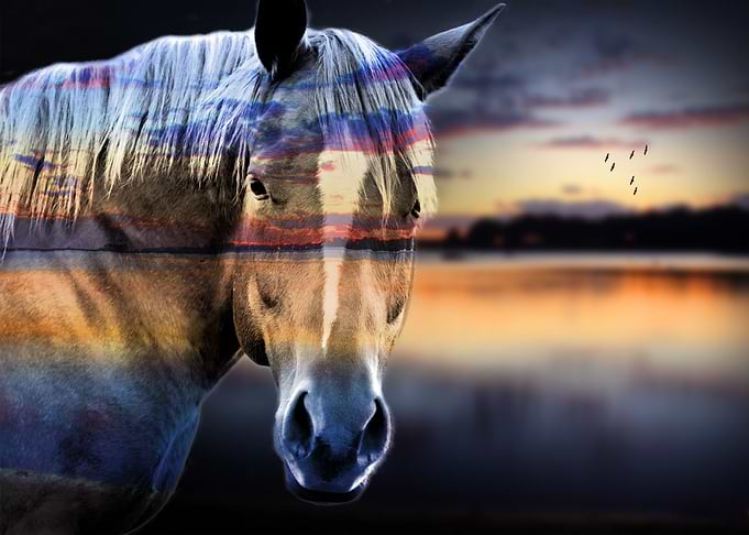misticall horse