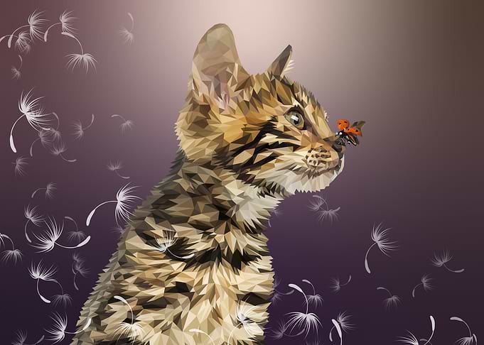 Springcat