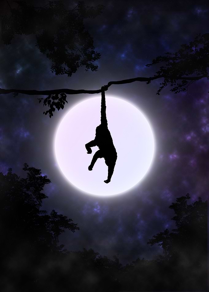 Monkey Silhouette
