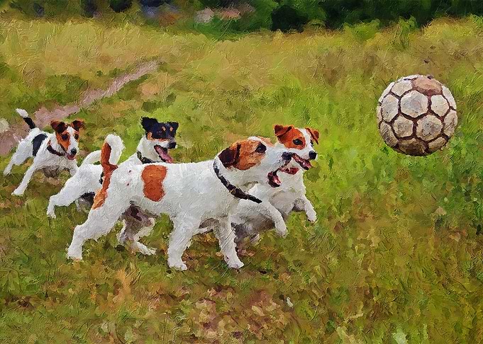 Beagles And A Ball