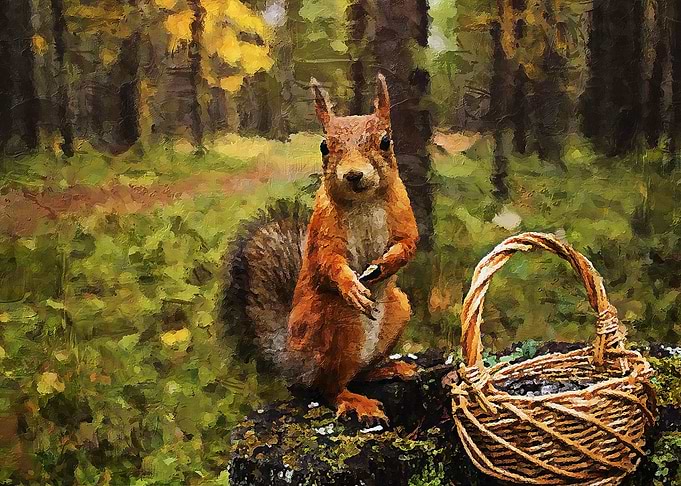 The Squirrel