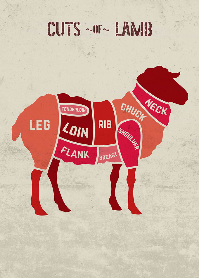 Cuts of Lamb Chart