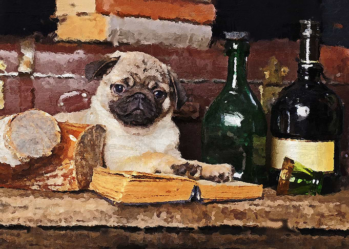 The Reading Pug
