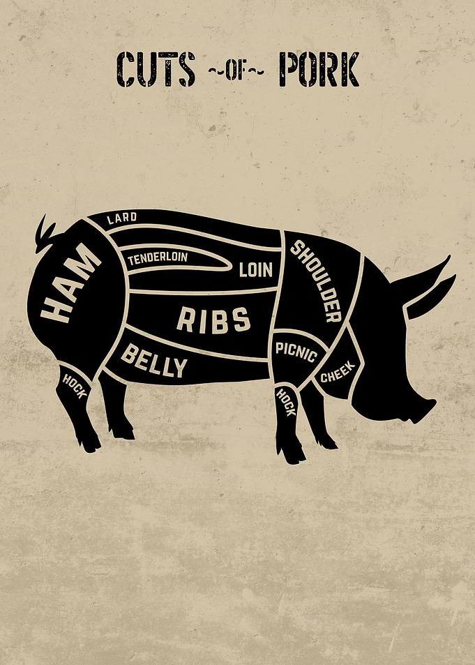 Cuts of Pork Chart Light