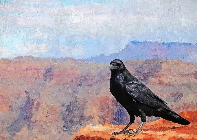 The Crow