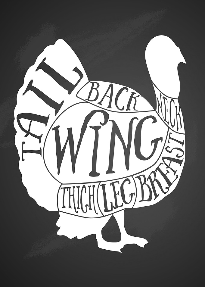 thanksgiving Turkey