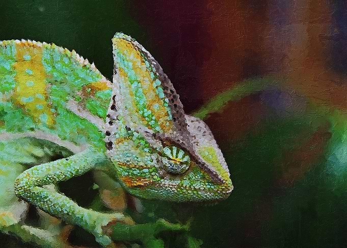 The Gecko