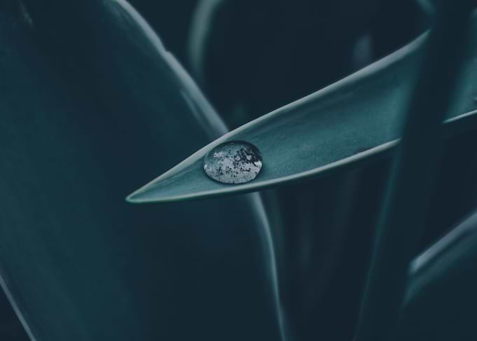 Rainy Day