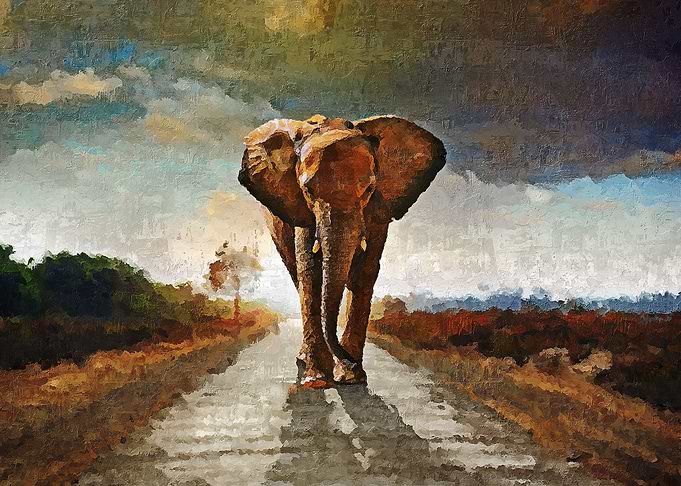 The Elephant