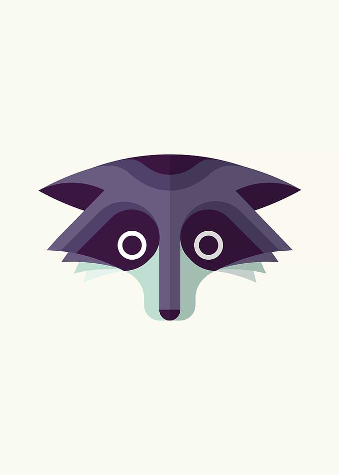 The Raccoon