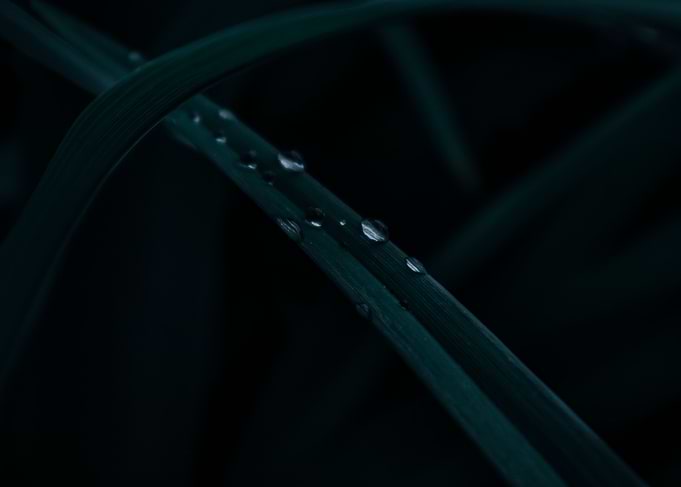 Rainy Day