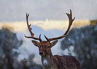The Deer