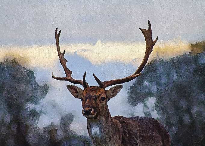 The Deer