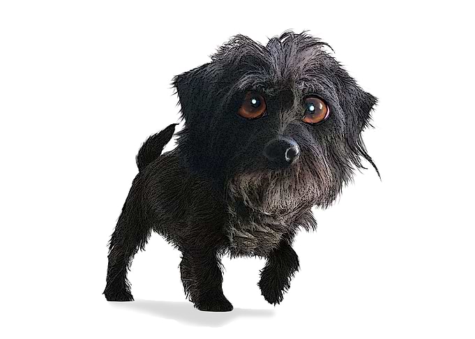 DOGGIE