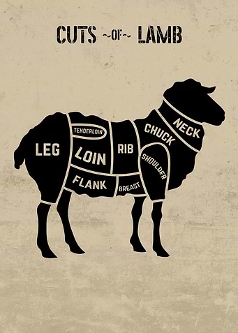Cuts of Lamb Chart Light