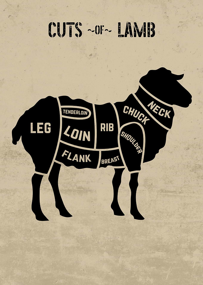 Cuts of Lamb Chart Light
