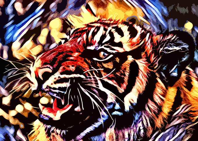 Big Cat