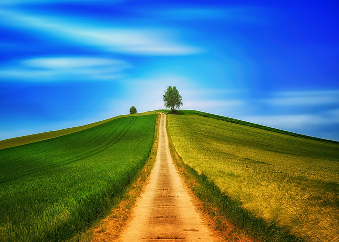Road Up Hill