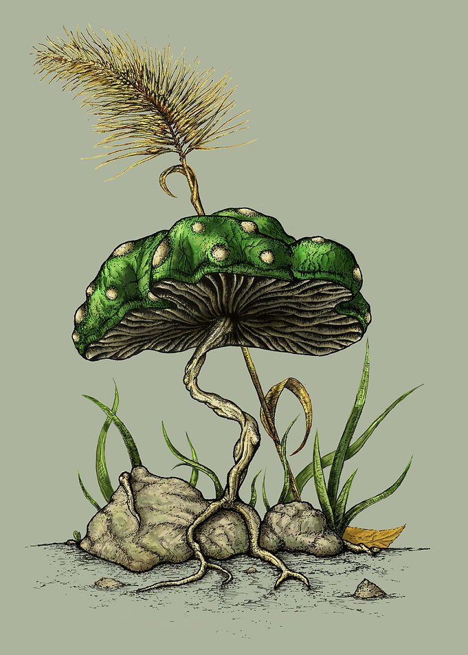 1 Up