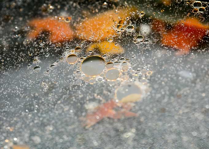 Oil bubbles on water macro