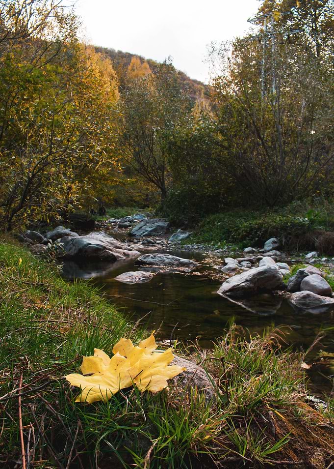 By the river