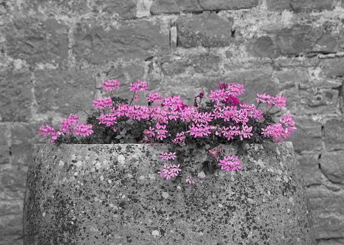 Stone Wall