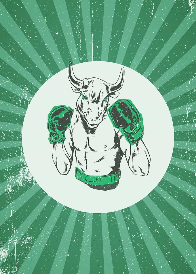 BOXING BULL