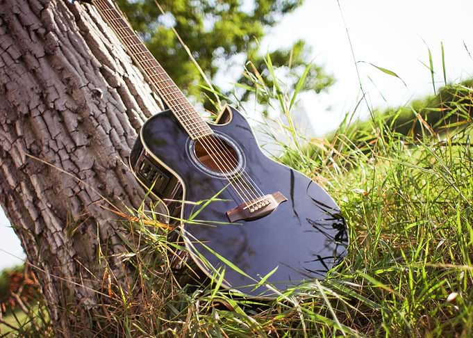 Guitar In Sunny Grass