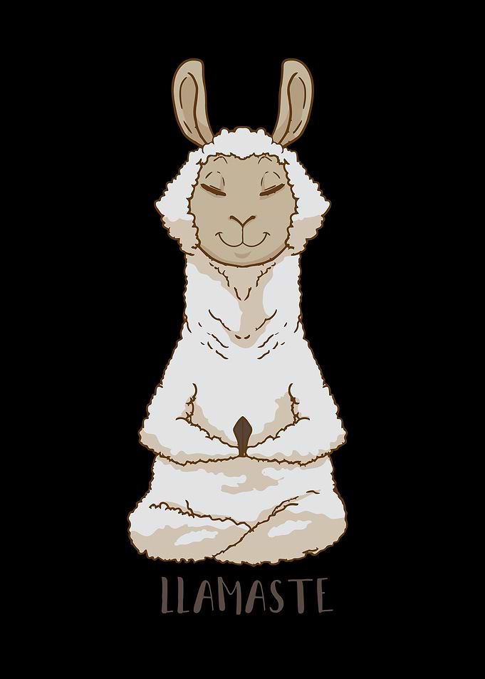 LLama LLamaste Yoga